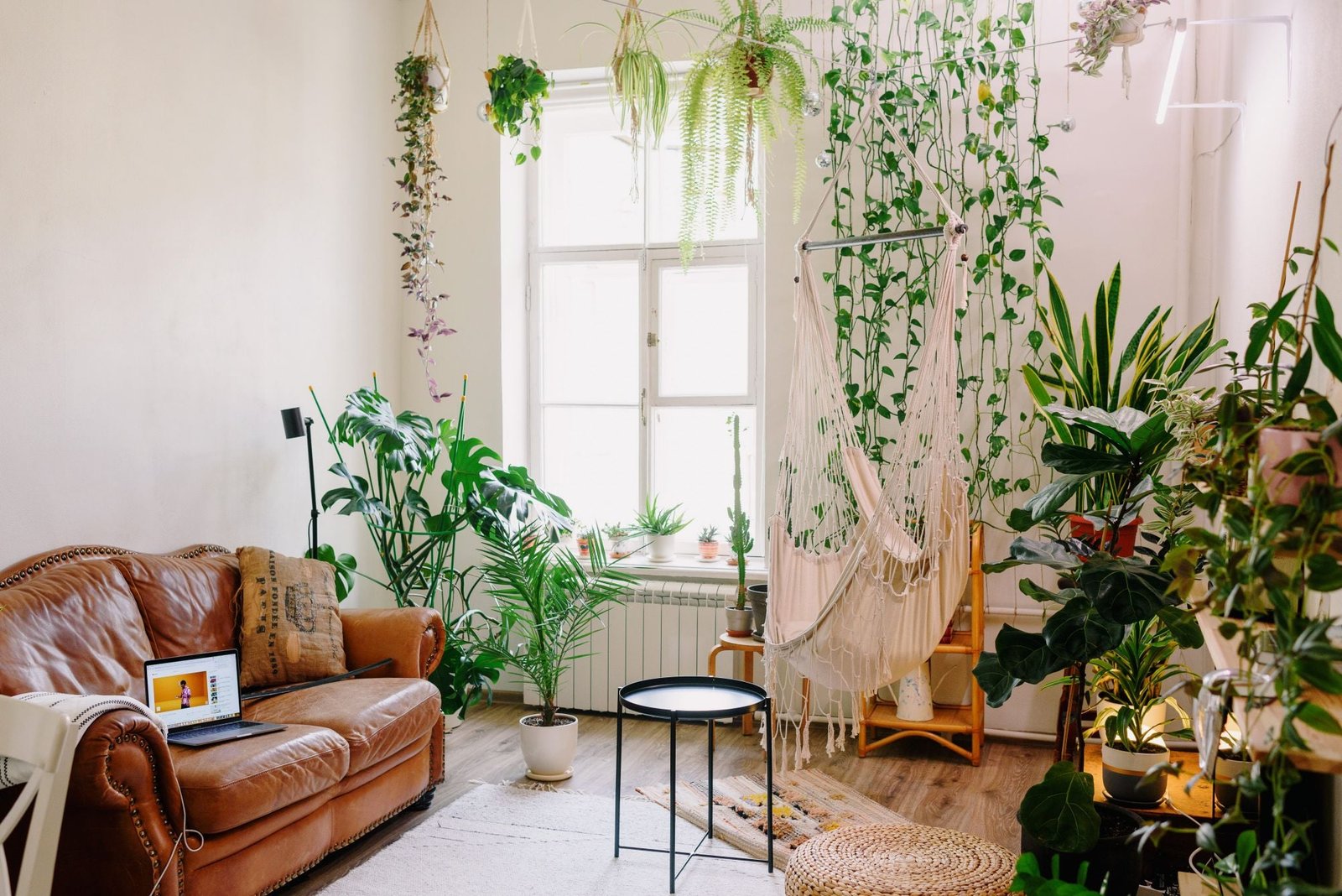 Woonkamer met een bruine leren zetel, een raam en veel groene planten